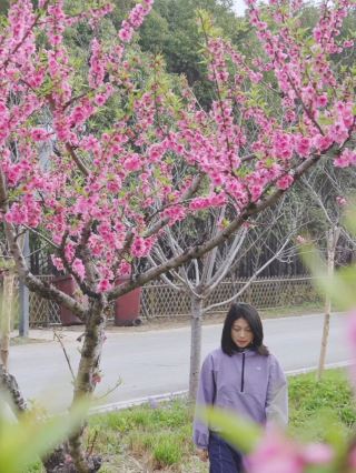 Hidden Flower Viewing Spots Around Shanghai: A Guide to Wufang Village in Fengxian