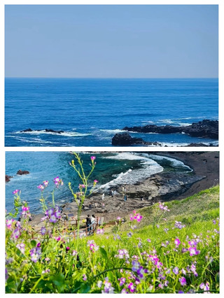 느긋한 여행자를 위한 제주도 여행 가이드 (5일 4박) - 화산, 바다 풍경, 그리고 먹거리 천국