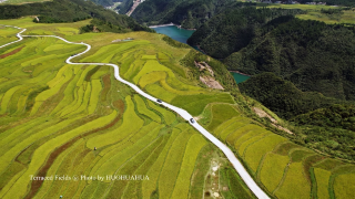 This free terraced field near Guiyang is amazing, with few people and beautiful scenery that rivals Gaopo
