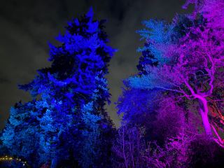 Memorable Christmas Luminate Event at Botanical Gardens