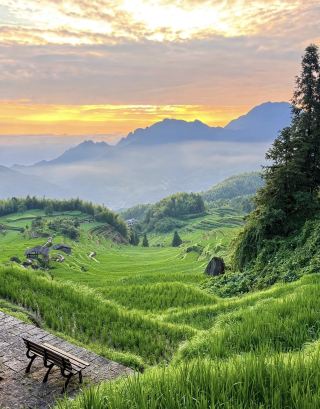 Not in Guizhou! Zhejiang's legendary sea-of-clouds rice terraces feel like stepping into Hayao Miyazaki's summer wonderland in the clouds