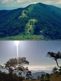 國慶遛娃寶藏地!羅定八排山免費高山草甸,帶娃徒步太治癒了!