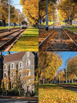 Back from Melbourne, and honestly… I wouldn't recommend going in Sep–Oct