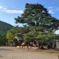 栗林公園　花園亭　焼きたてみたらし団子