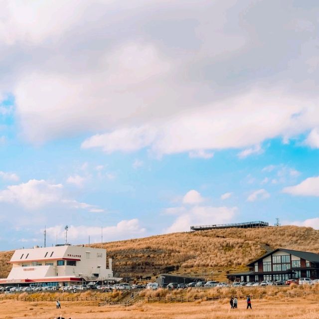 ลากแฟนไปขี่ม้าบนภูเขาไฟยังไม่ดับใหญ่ที่สุดในjapan