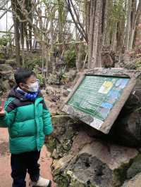 親子遊必去！ #伊豆仙人掌動物園