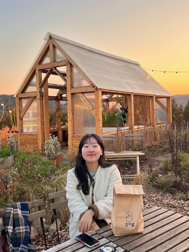 야외 오두막이 감성적인 뷰좋은카페, 감자밭