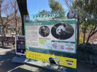 東京・上野。やっぱり『パンダ』の人気は絶大。日本で最初の動物園『上野動物園』