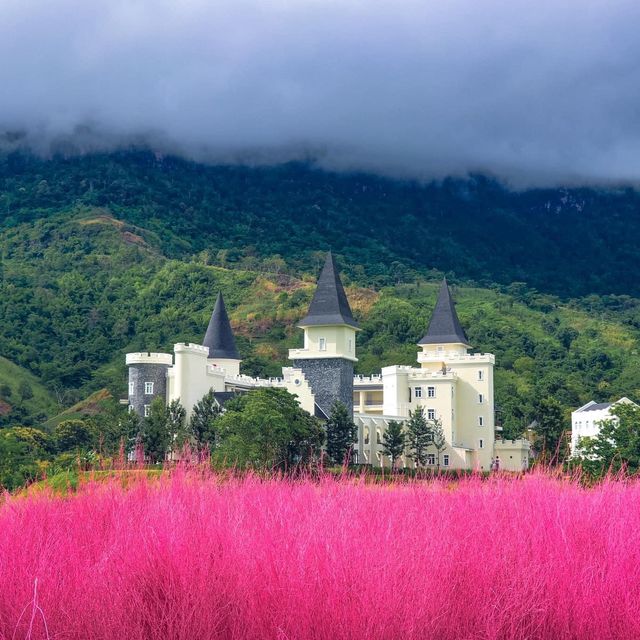 The Bluesky Garden เขาค้อ