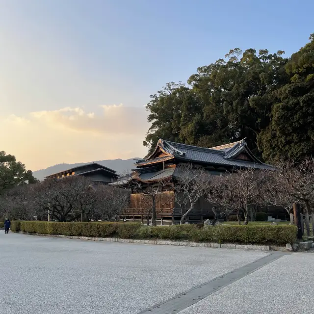 🇯🇵福岡太宰府天滿宮 初詣參拜遊博物館🌅