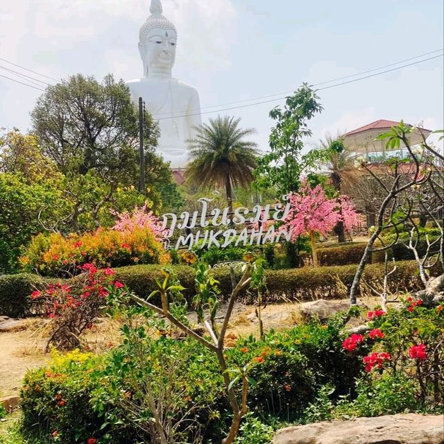 ที่สุดของแลนมาร์ค พญานาคใหญ่ยักษ์ ยกให้ที่นี้เลย