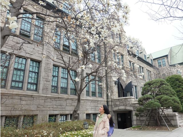 หนีร้อน…ไปเดินชิคที่ Ewha Woman University 
