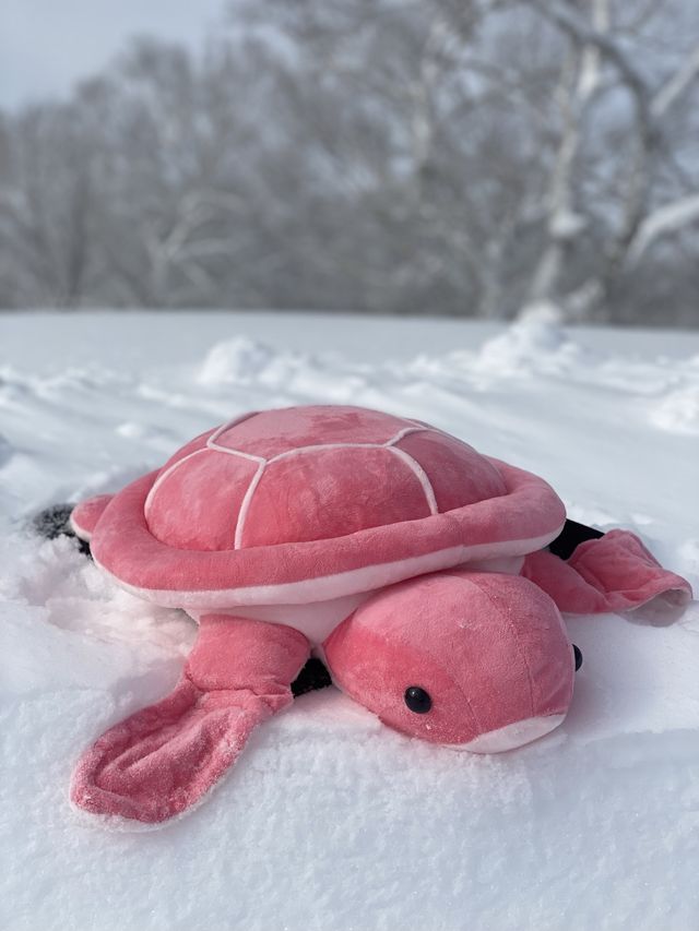 野澤百年溫泉小鎮滑雪