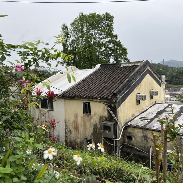 輕鬆西貢一日遊鹽田梓