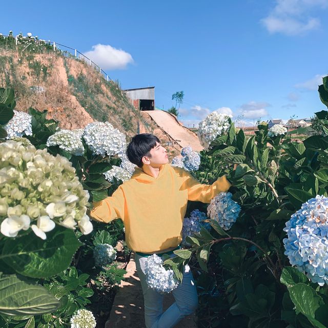 Dalat City 🌷🌷🌷Romantic city 
