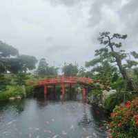 ญาจาง เมืองสวนสนุกบนเกาะสุดคุ้ม