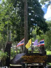 น้ำตกโตนงาช้าง หาดใหญ่สงขลา