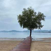 The Mangrove by Blu Monkey 