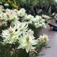 【シンガポール】近未来植物園ガーデンバイザベイ