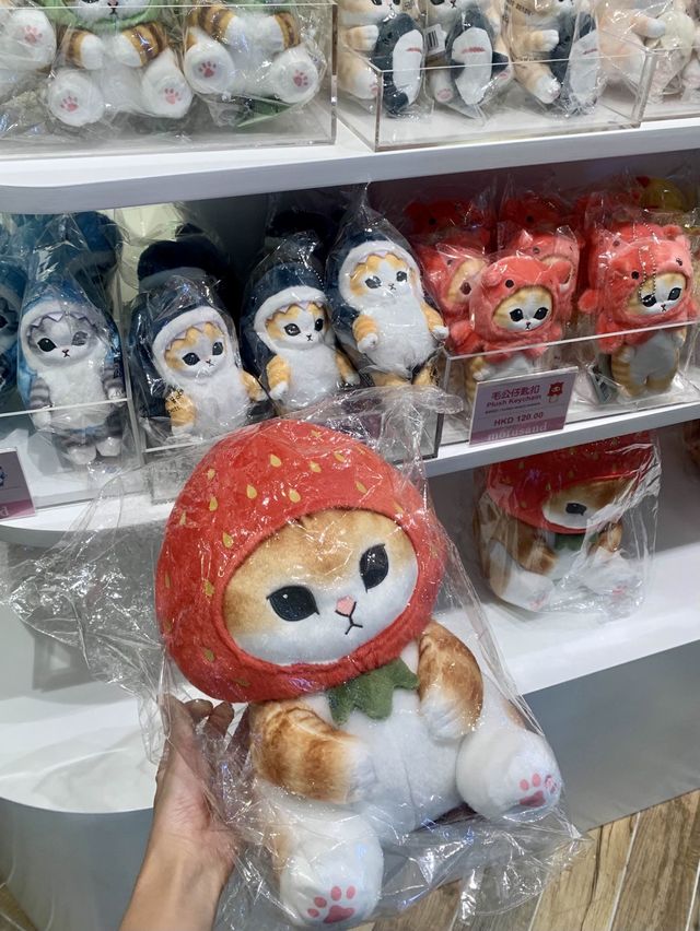 🐱🎀各位貓奴要留意啦💕
