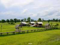 เถียงนาคาเฟ่ บ้านสวนศรีบุญมา อุดรธานี