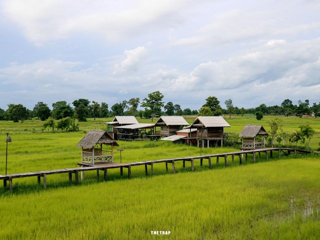 เถียงนาคาเฟ่ บ้านสวนศรีบุญมา อุดรธานี