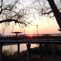Hangang Riverside Park