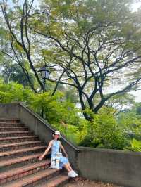นั่งเล่นที่สวนสาธารณะ Fort Canning Park