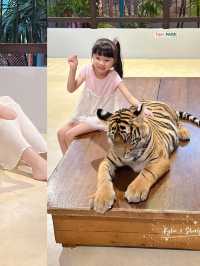 🇹🇭芭提雅老虎園 - 近距離同老虎bb接觸🐅