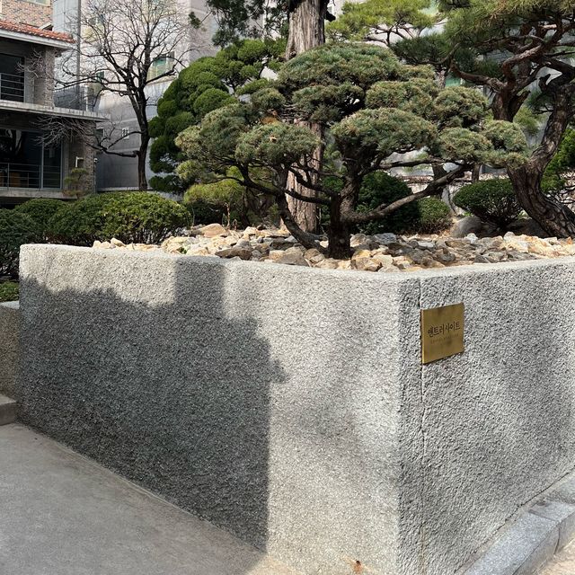 조용한 도심 속 대형카페, 앤트러사이트 서교점