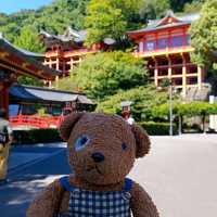 ศาลเจ้ายูโทคุอินาริ yutoku inari shrine