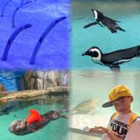 🐬🍨日本福岡 不能錯過的水族館餐廳😍