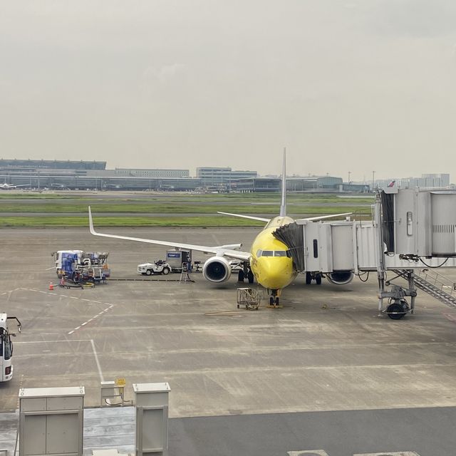 スカイマーク"そらとぶピカチュウプロジェクト"のピカチュウジェット