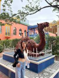 คาเมล รีพับบลิค Camel Republic ที่เที่ยวชะอำ