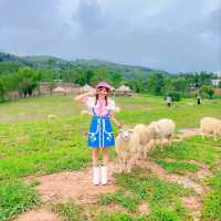 แลนด์มาร์คแห่งใหม่ ถ่ายรูปกับน้องแกะน่ารักๆบนดอย🐑🐏