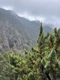 🏔️ 台灣最高峰玉山 3952 公尺🚩台灣百岳挑戰成功！