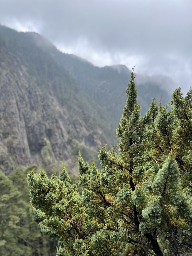 🏔️ 台灣最高峰玉山 3952 公尺🚩台灣百岳挑戰成功！