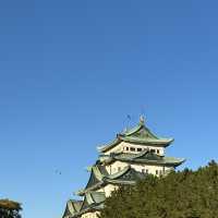 名古屋城で鯱鉾見よう！