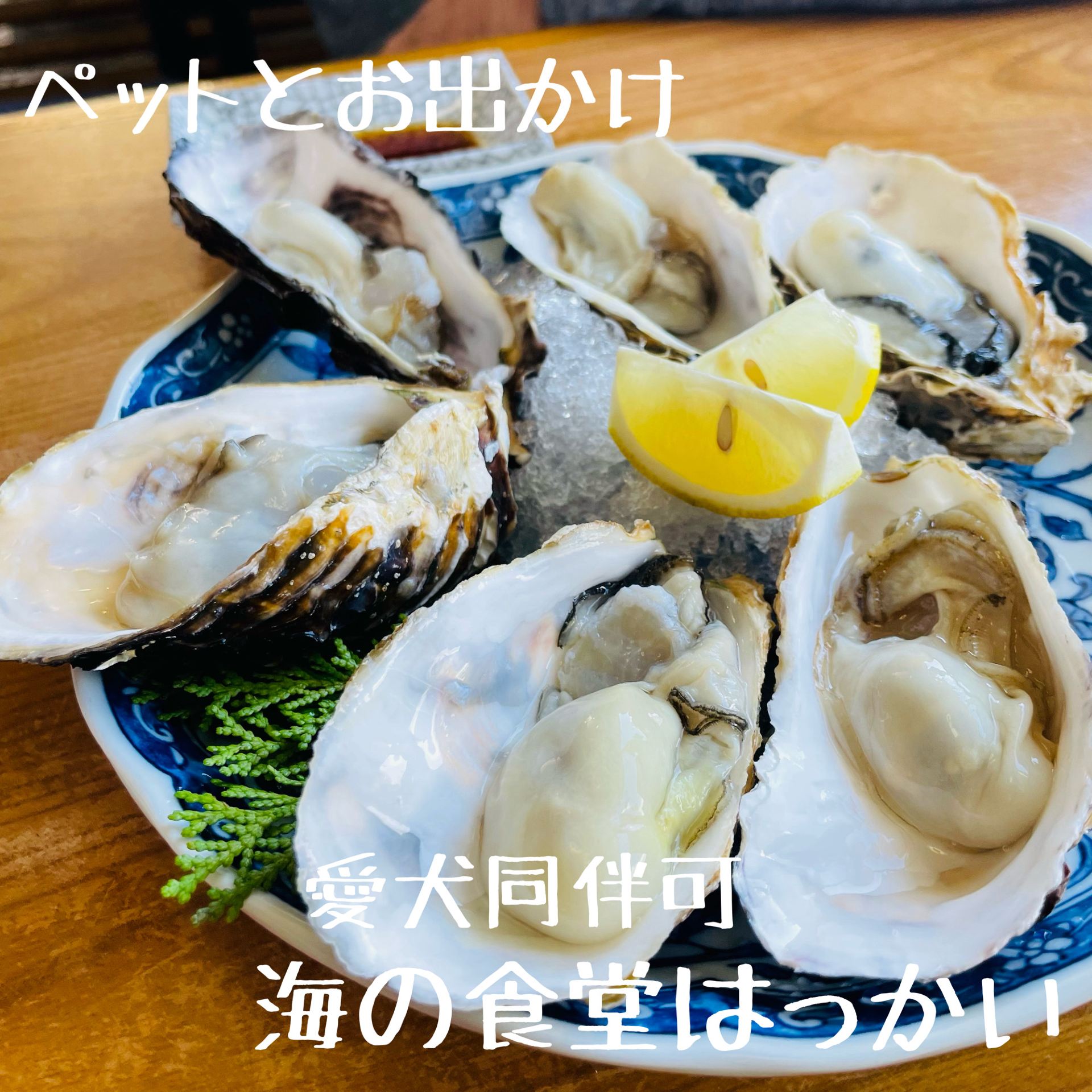 海 の 食堂 はっかい