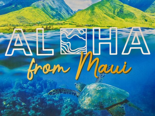 【ハワイ・マウイ島】カフルイ空港✈️