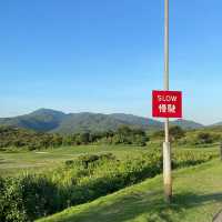 香港滘西洲｜世外桃源小島打golf拍拖日⛳️🏌🏻