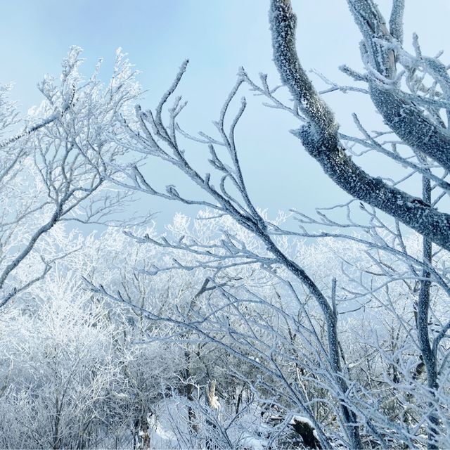 오대산 비로봉에서 상왕봉까지