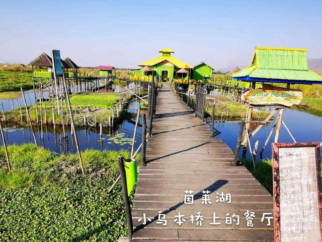 緬甸🇲🇲
