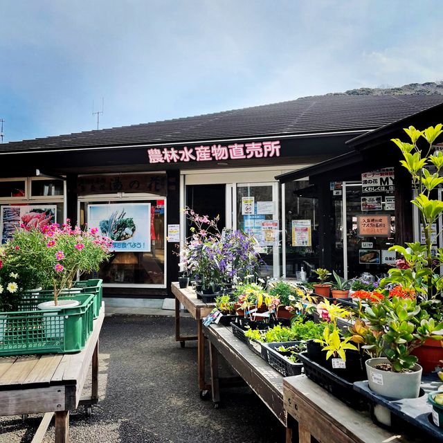 【伊豆】南伊豆の農産物直売所『湯の花』