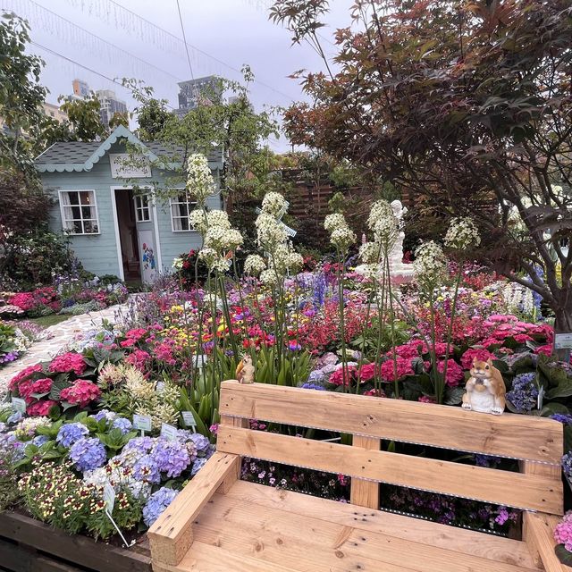 春日限定，花迷值得一去～維多利亞公園花卉展🌸