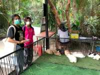 สวนนกภูเก็ต "Phuket Bird Park"