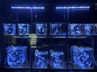 Aquarium​ Phuket ที่ใหญ่ที่สุดในประเทศไทย​