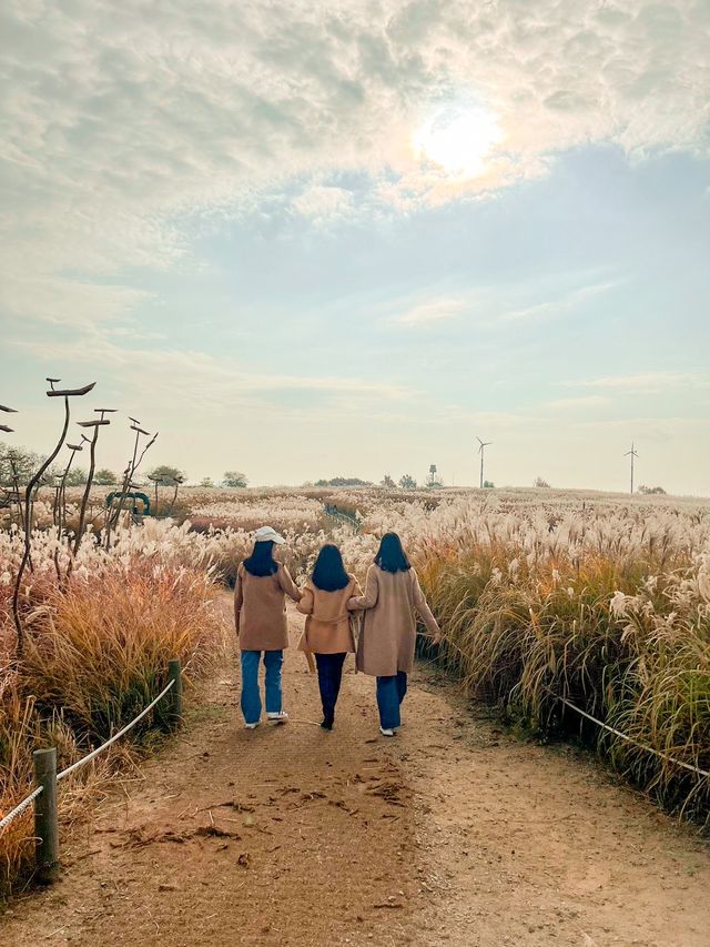 สูดอากาศดีๆที่สวนสาธารณะ Hanuel Park