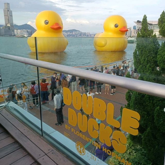 必睇必影 黃色鴨