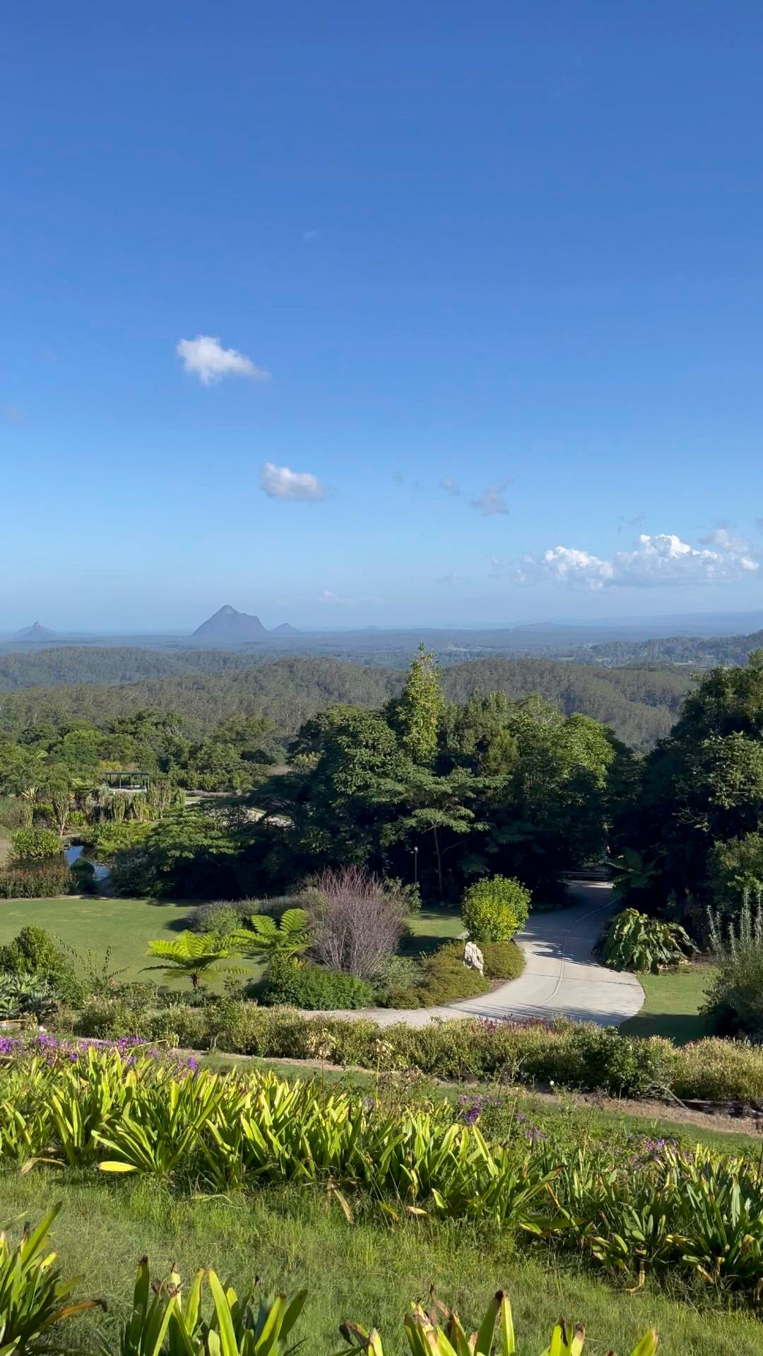Maleny - birds , mountains and greenery🦜🏔️❤️